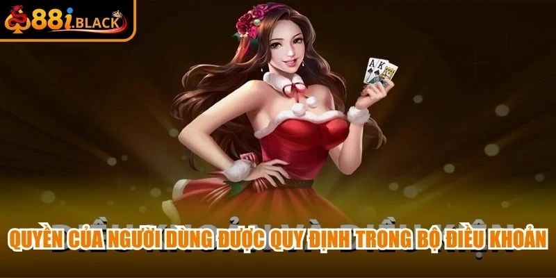 Quyền của người dùng được quy định trong bộ điều khoản